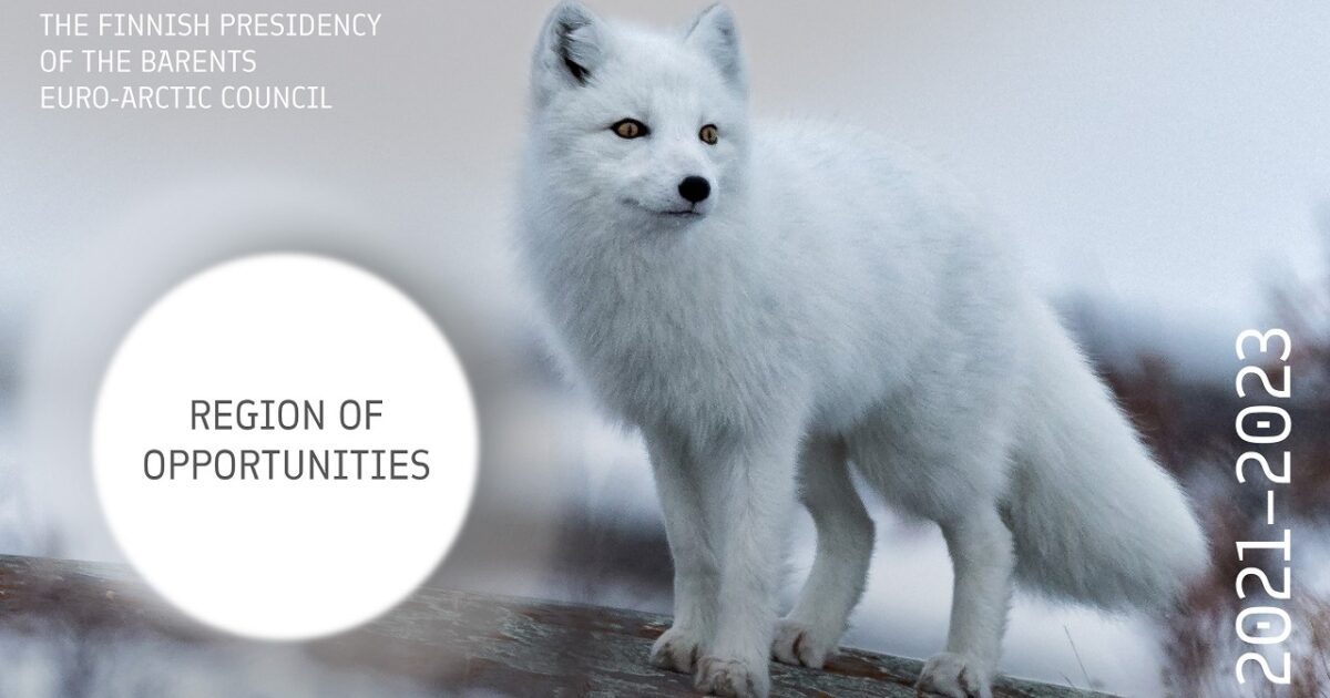 Renewed EU funding will keep a Scandinavian Arctic fox program going -  ArcticToday